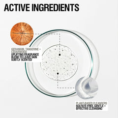 Grown Alchemist Revive Body Cleanser 500ml