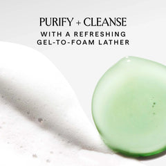 Herbivore Botanicals Aquarius BHA + Blue Tansy Clarity Cleanser 100ml