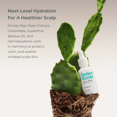 EVOLVh Better Roots Scalp and Hair Oil 1 oz