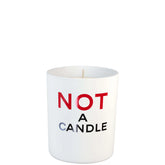 Juliette Has a Gun Not A Perfume Candle 6.3 oz