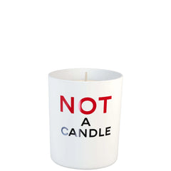 Juliette Has a Gun Not A Perfume Candle 6.3 oz
