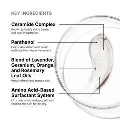SkinCeuticals Replenishing Cleanser (5 fl. oz.)
