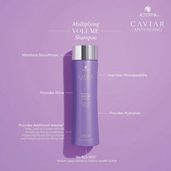 Alterna CAVIAR Anti-Aging Multiplying Volume Large Kit
