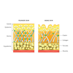 jane iredale Skin Collagen Support