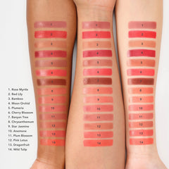Chantecaille - Lip Crème (Various Shades)