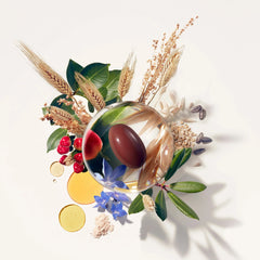 Phyto PHYTOPHANERE