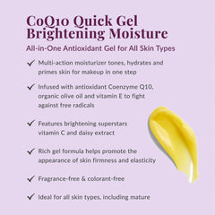 DHC CoQ10 Quick Gel All-in-One Brightening + Moisturizing - 3.5 oz