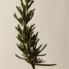 Aesop Resurrection Aromatique Hand Balm 500ml