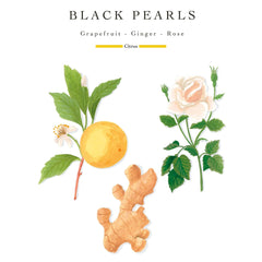 Baobab Collection Pearls Black Petite Candle