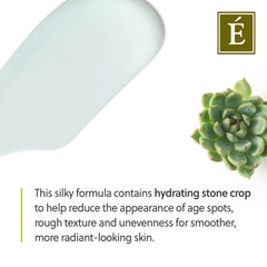 Eminence Organic Skin Care Stone Crop Body Lotion 8.4 oz
