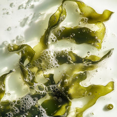 Leonor Greyl Bain Volumatuer aux Algues Volumizing Shampoo (6.7 oz.)