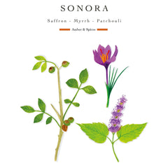 Baobab Collection Sand Sonora Classique Candle