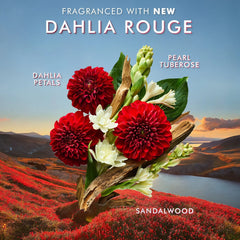 Moroccanoil Hand Cream Dahlia Rouge 3.4 oz