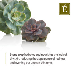 Eminence Organic Skin Care Stone Crop Body Lotion 8.4 oz