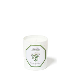Carrière Frères Aloysia Citrodora - Verbena 6.5 oz
