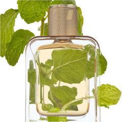 Veronique Gabai Vert Desir Eau de Parfum 2.8 fl. oz