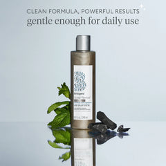 Briogeo Scalp Revival™ Dandruff Relief Charcoal Shampoo 8.4 oz