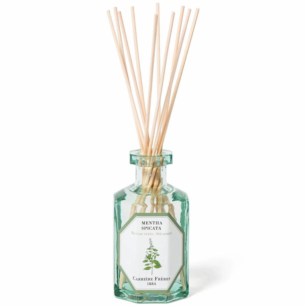 Carrière Frères Diffuser Spearmint - Mentha Spicata - 6.7 fl. oz