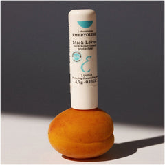 Embryolisse Stick Protecteur Reparateur - Lips Protection Stick (0.15 fl. oz.)