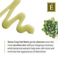 Eminence Organic Skin Care Stone Crop Gel Wash 4.2 fl. oz
