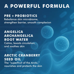 Skyn Iceland Nordic Renewal Pre + Probiotic Cream 50g