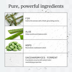 Ursa Major Forest Fix Spray Deodorant 54ml