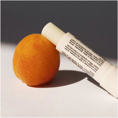 Embryolisse Stick Protecteur Reparateur - Lips Protection Stick (0.15 fl. oz.)