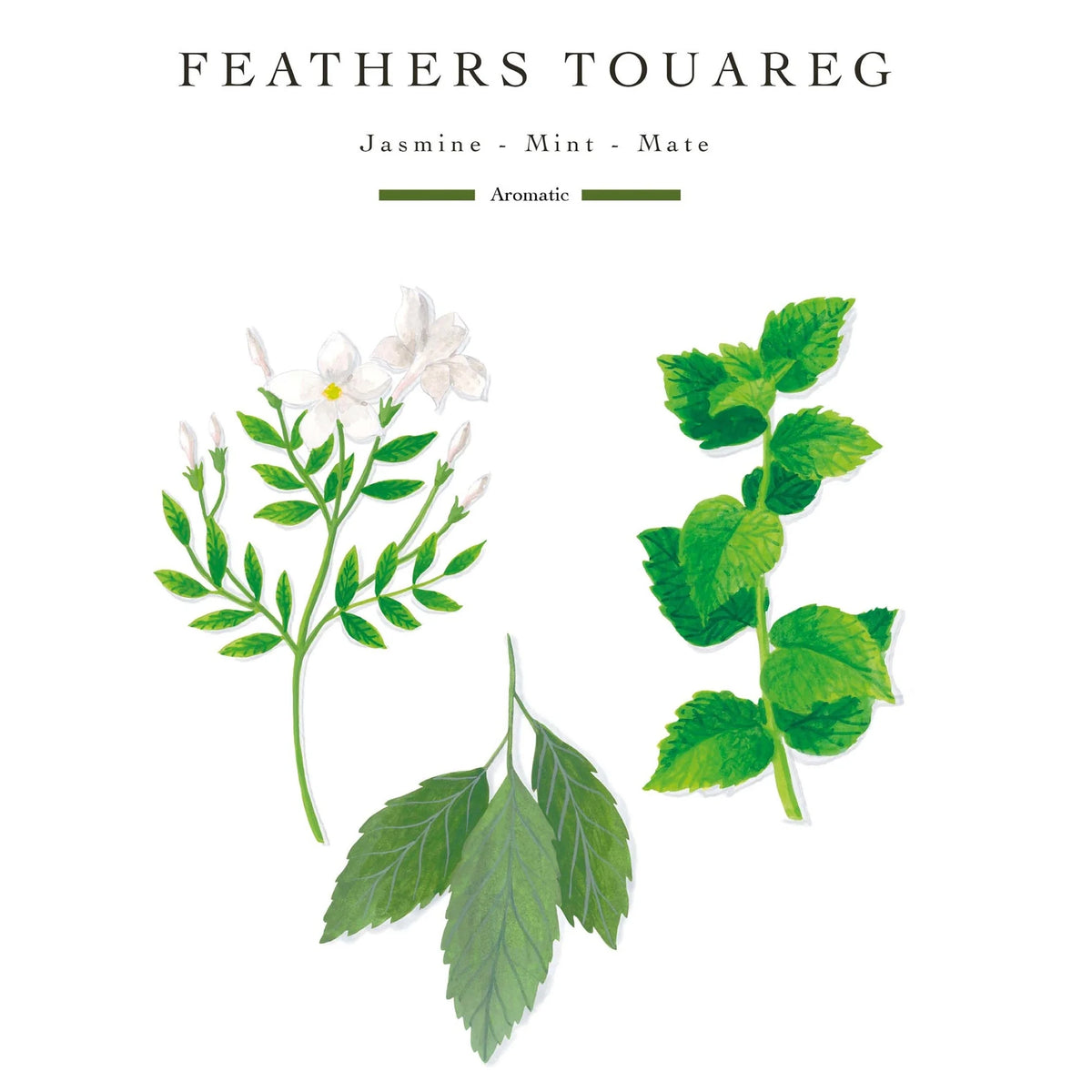 Baobab Collection Feathers Touareg Classique Candle