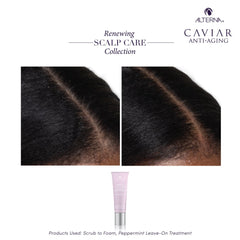 Alterna Renewing Scalp Care Peppermint Leave-on Treatment 2.5 oz
