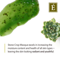 Eminence Organic Skin Care Stone Crop Masque 2 fl. oz