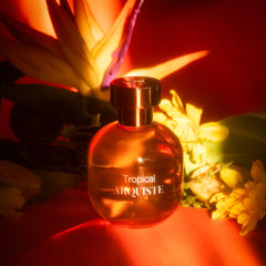 ARQUISTE Parfumeur Tropical Eau de Parfum 100ml